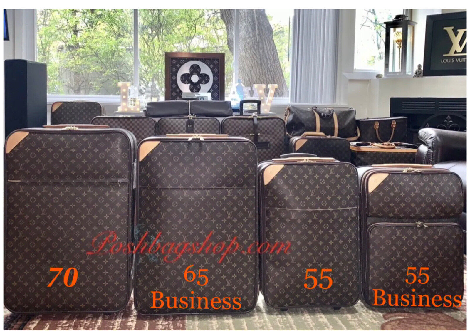 Louis Vuitton Pegase Suitcase Bag Monogram Luggage + Garment Bag 🎊