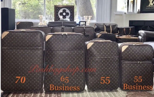 Louis Vuitton Pegase 55 Timeless Carry-on Suitcase Bag w/ Tag Garment Bag 💝