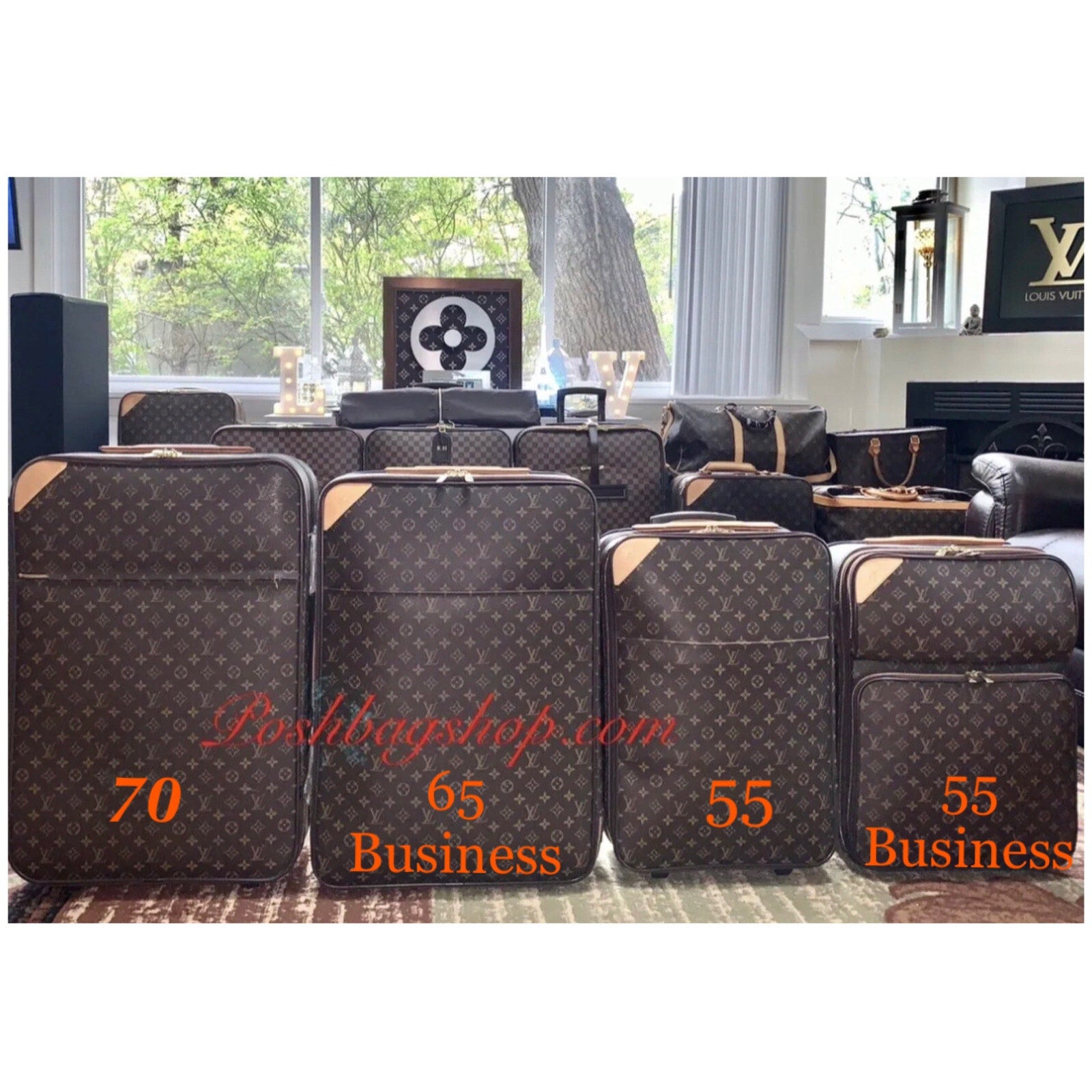 Louis Vuitton Pegase 70 Monogram Suitcase Luggage w/ Lv Tag Coa Garment Bag