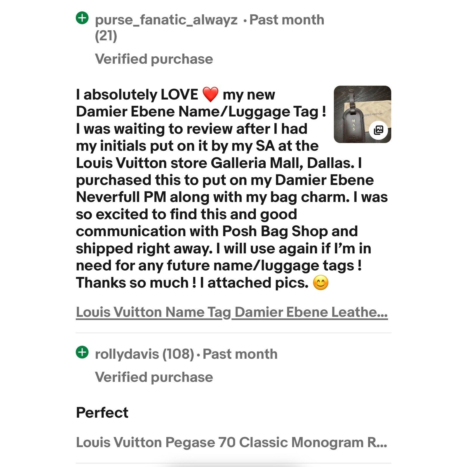 Louis Vuitton Paris Name Tag Damier Ebene Dark Brown Goldtone Large