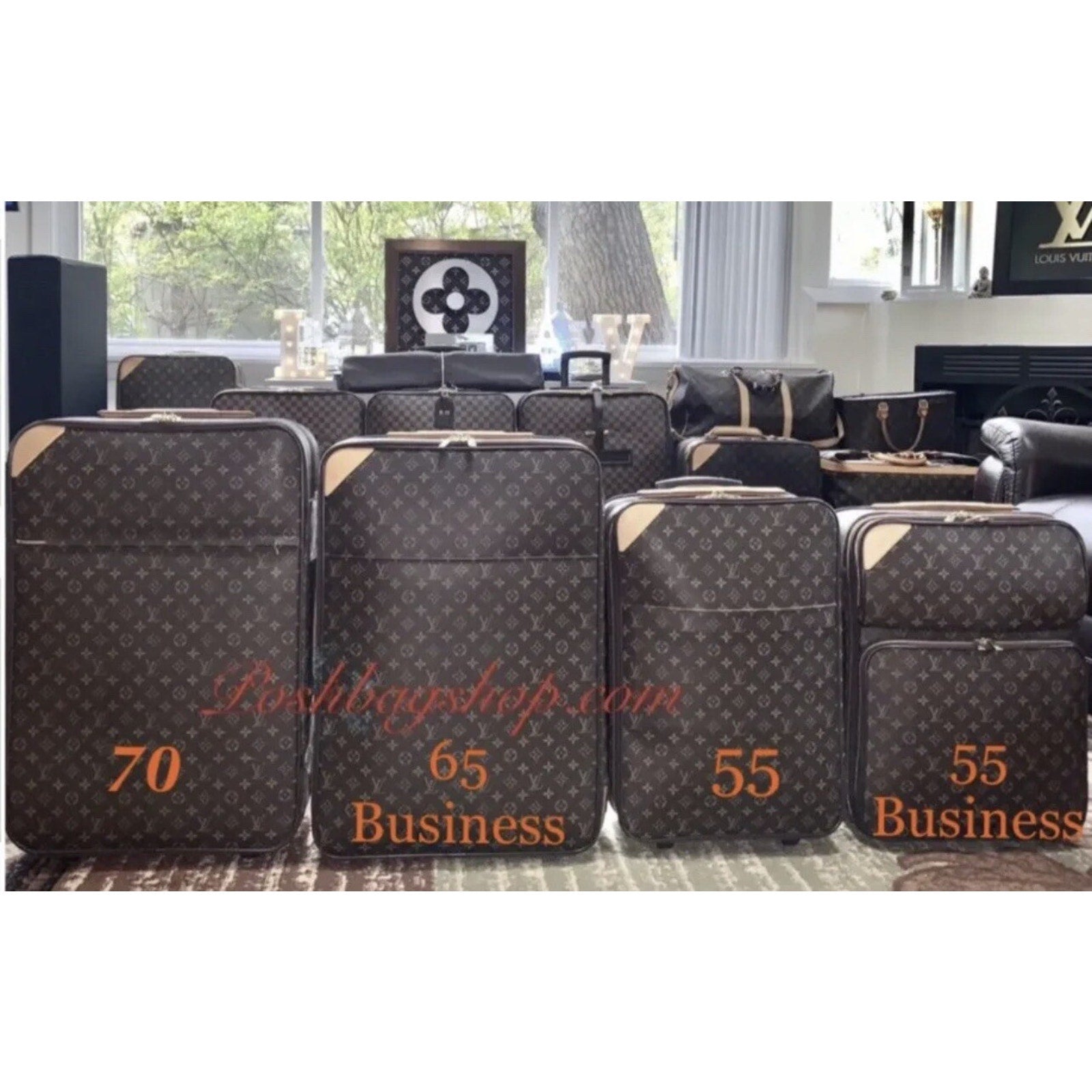 Louis Vuitton Pegase Monogram Suitcase w/ Cert of Auth Dust-bag Name Tag