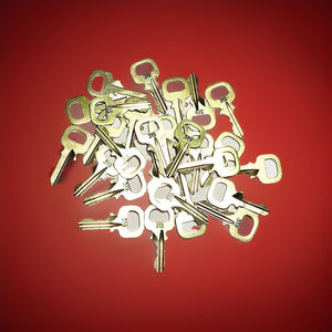 Louis Vuitton Key # 319 Brass 100% Genuine LV Series 300 “ONE KEY”