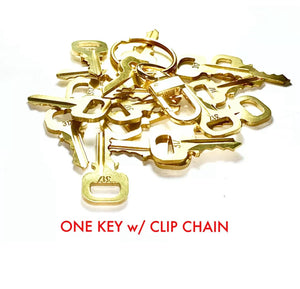 Louis Vuitton Key # 331 Brass 100% Genuine LV Series 300 “ONE KEY”