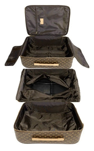 Louis Vuitton Pegase Suitcase Bag Cabin sz w/ Name Tag Garment bag Carryon