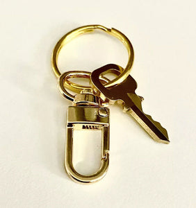 Louis Vuitton Key #323 Polished Brass Goldtone w/ Swivel Clip