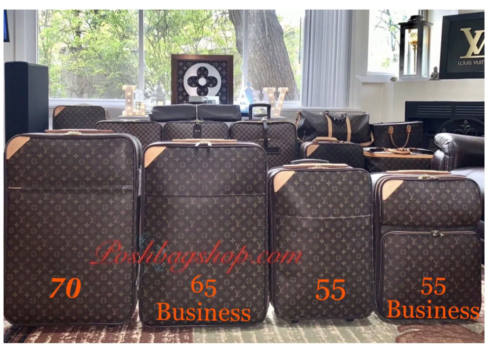 Louis Vuitton Pegase 70 Timeless Suitcase Bag Luggage Tag Strap